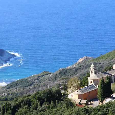 Rosa Mare
